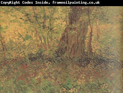 Vincent Van Gogh Undergrowth (nn04)